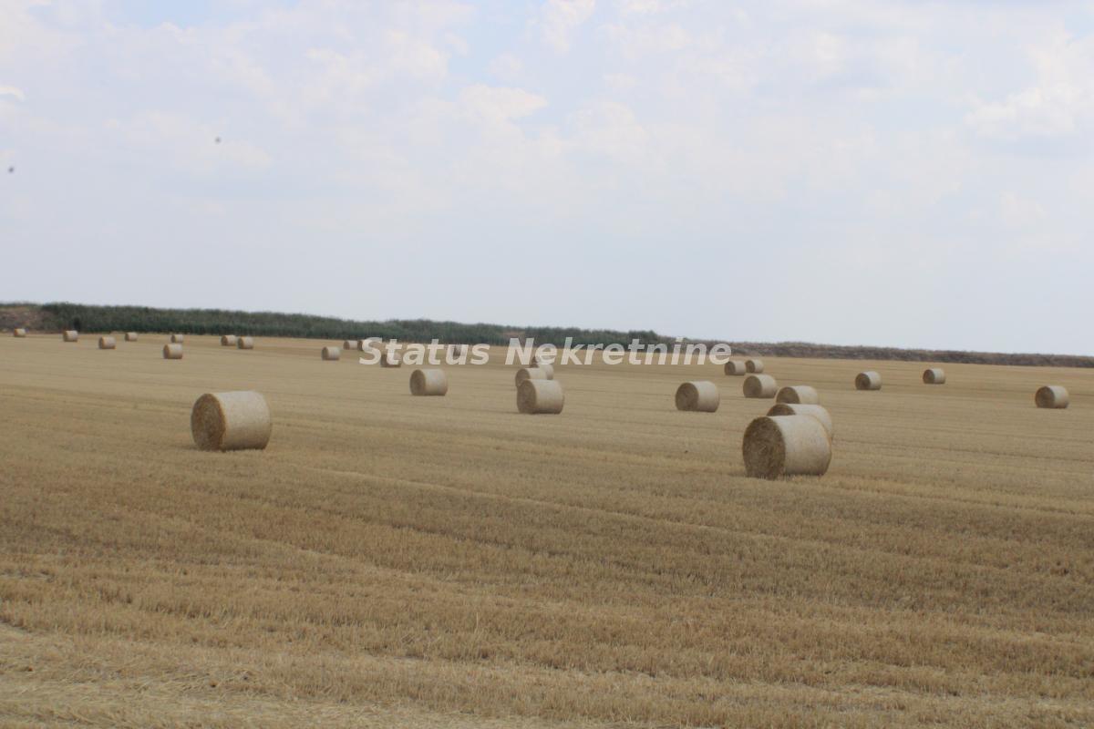 Plac Prodaja Vrbas Plac Prodaja Vrbas 0 m2