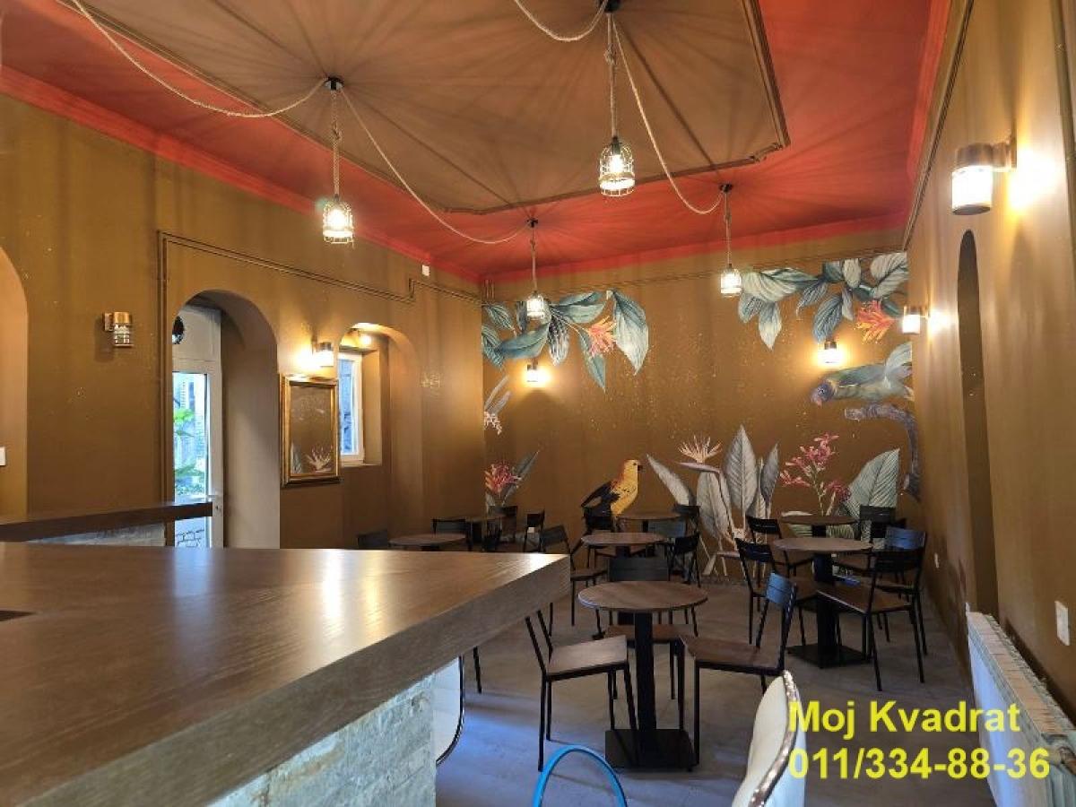 Lokal Izdavanje Beograd Lokal Izdavanje Beograd Pravni Fakultet - Vračar 40 m2