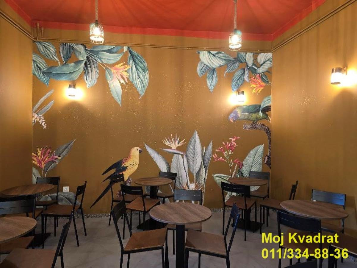 Lokal Izdavanje Beograd Lokal Izdavanje Beograd Pravni Fakultet - Vračar 40 m2