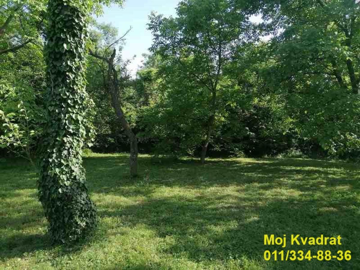 Plac Prodaja Beograd Plac Prodaja Beograd Baćevac 0 m2