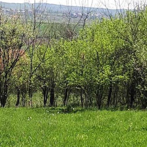 Plac Prodaja Beograd Baćevac 0 m2