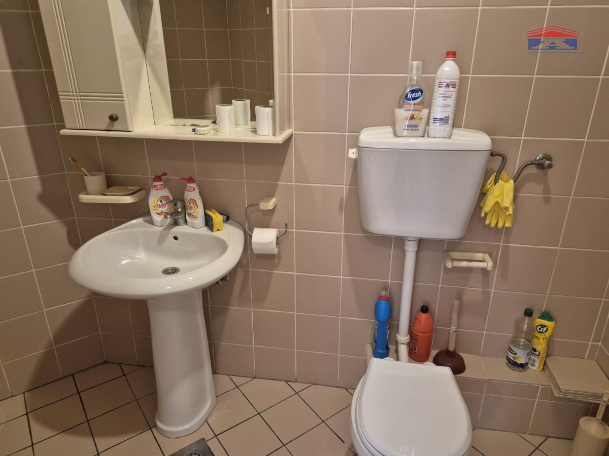 index Stan Izdavanje Novi Sad 36 m2
