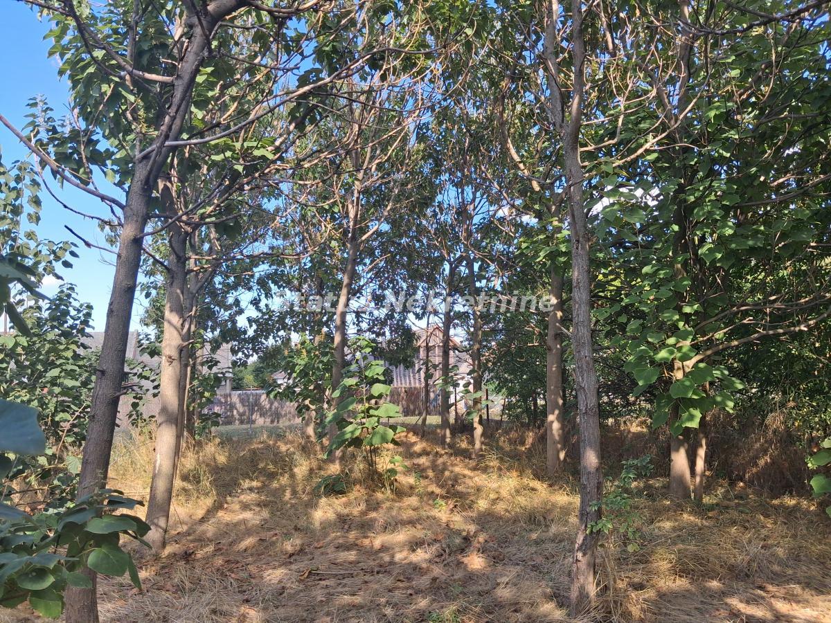 index Kuća na prodaju, Turija, Srbobran, 120m², 61.800 €
