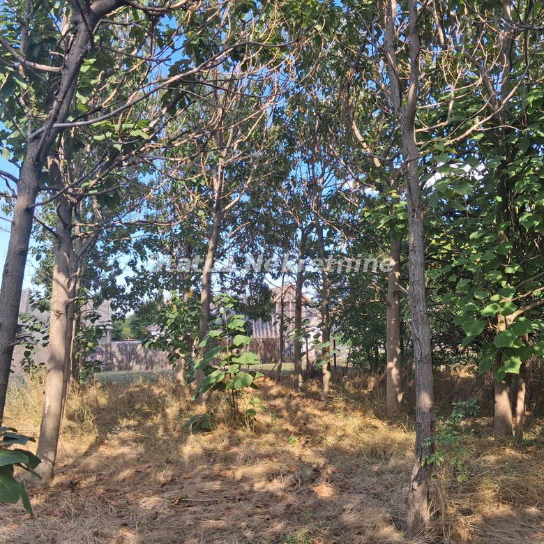 Kuća na prodaju, Turija, Srbobran, 120m², 61.800 €