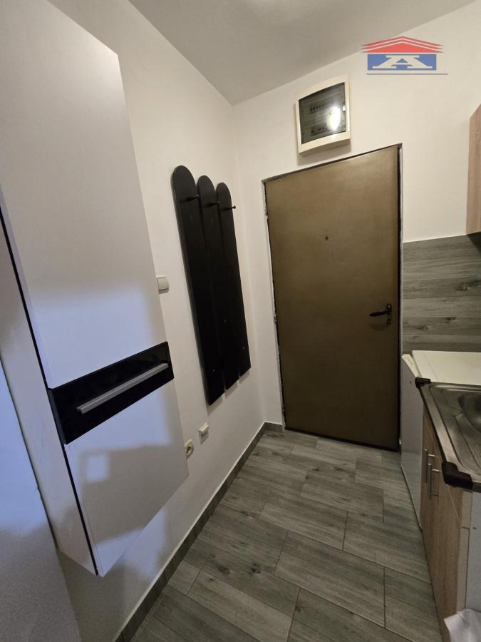 Stan Izdavanje Novi Sad Nova Detelinara 30 m2