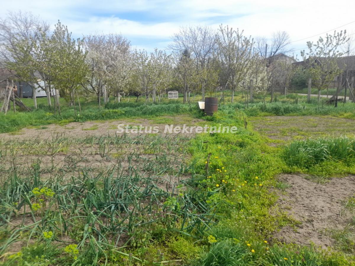 index Kuća Prodaja Novi Sad 132 m2