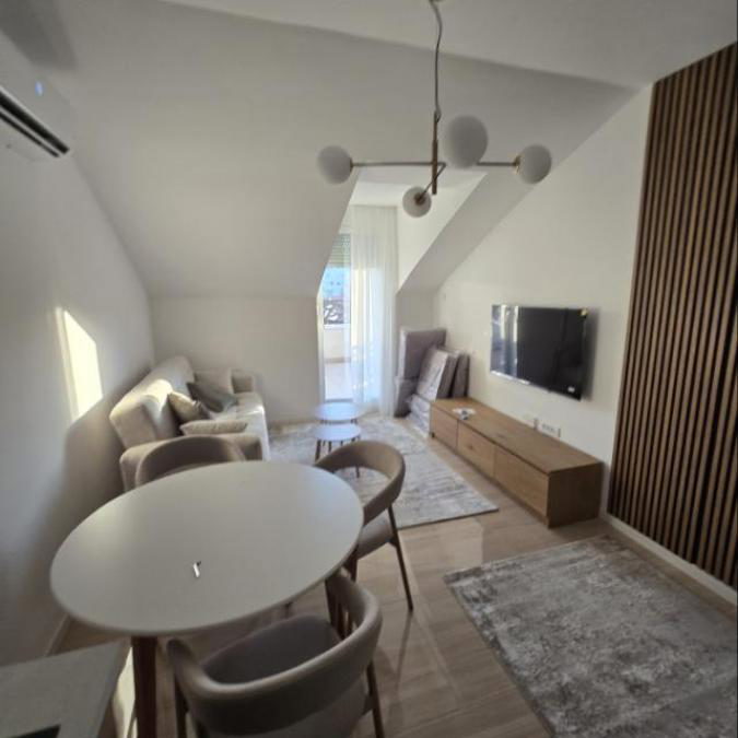 Stan Izdavanje Novi Sad Železnička Stanica 60 m2