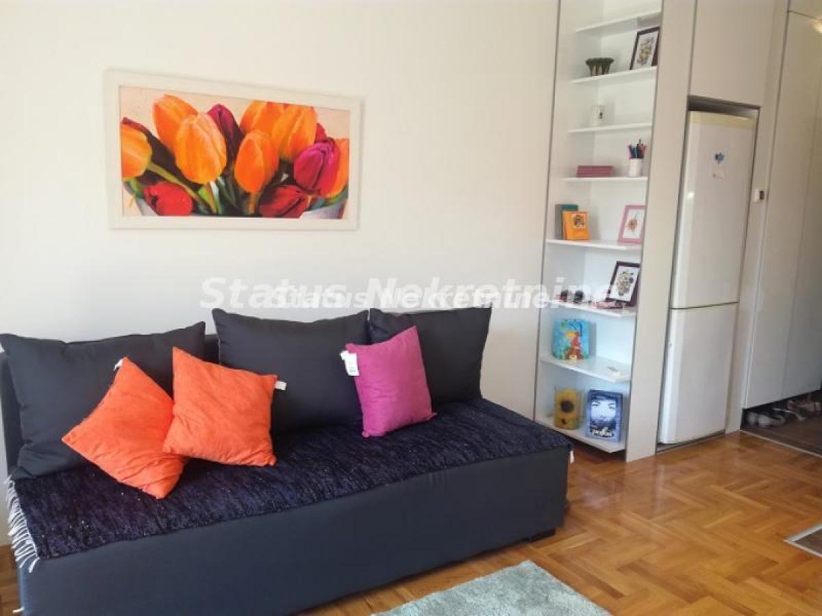 Stan Izdavanje Novi Sad Nova Detelinara 26 m2