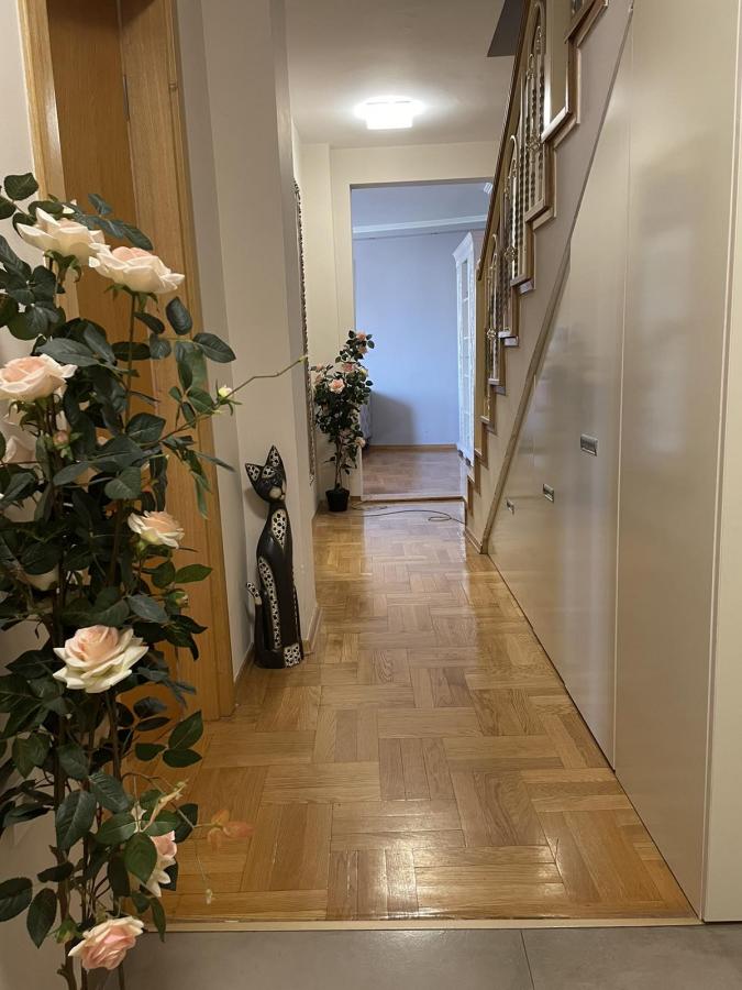 Stan Prodaja Novi Sad Stan Prodaja Novi Sad Cara Dušana 124 m2
