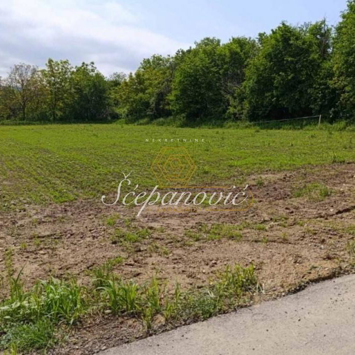 Plac Prodaja Novi Sad  1367 m2