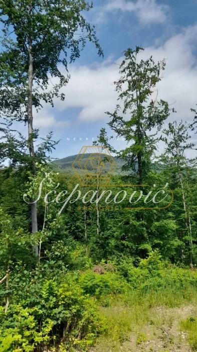Plac Prodaja Aranđelovac Plac Prodaja Aranđelovac 53082 m2