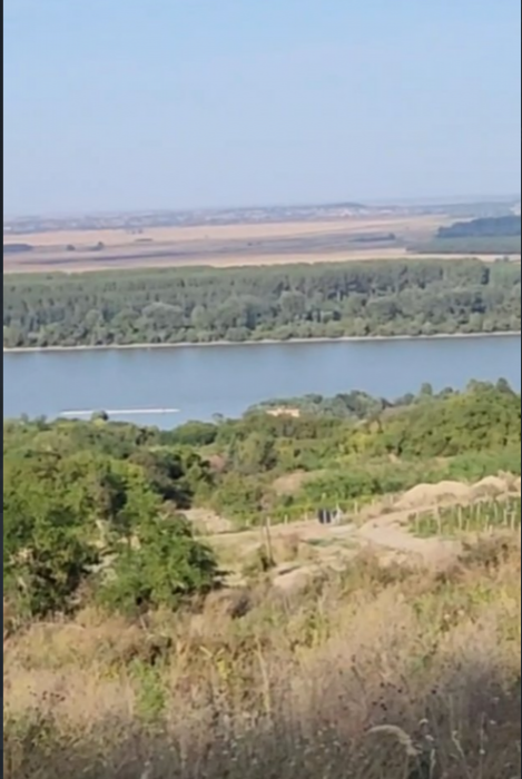 Plac Prodaja Inđija  2003 m2