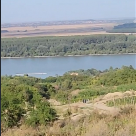 Plac Prodaja Inđija  2003 m2