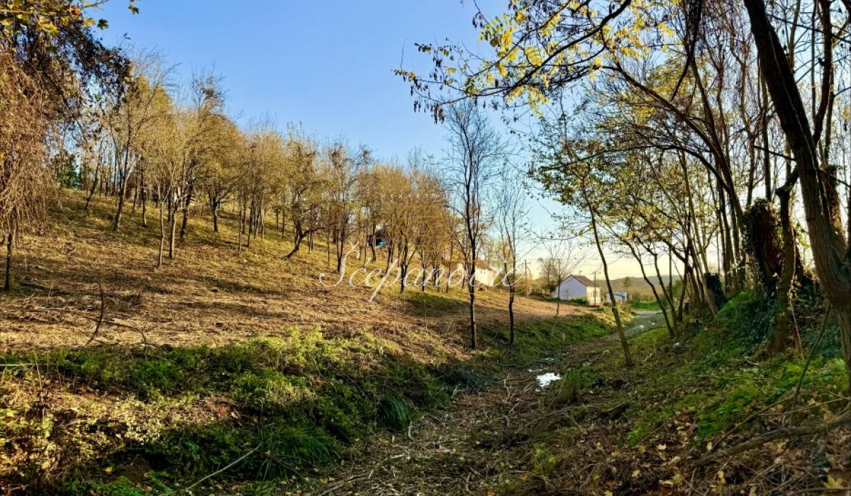 Plac na prodaju, Vrdnik, Irig, 4677m², 135.000 €