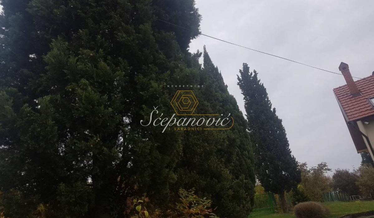 Plac Prodaja Irig  11850 m2