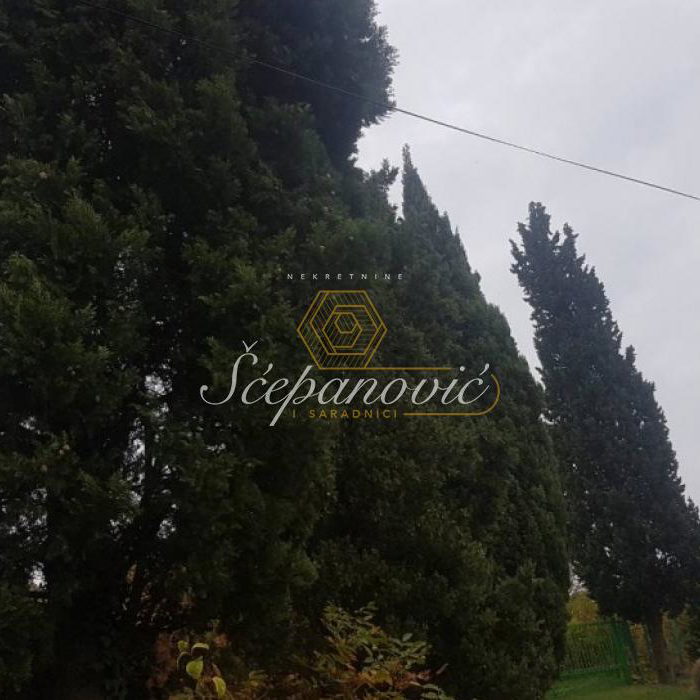 Plac Prodaja Irig  11850 m2