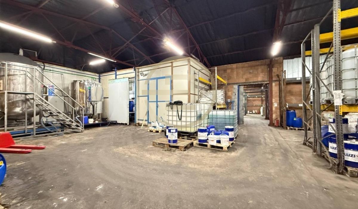 Lokal Izdavanje Novi Sad  7726 m2