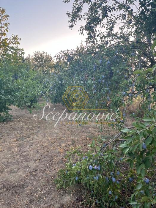 Plac Prodaja Bečej Plac Prodaja Bečej 1877 m2