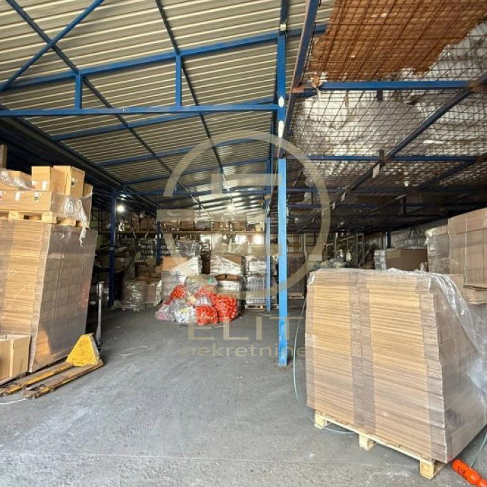 Lokal Izdavanje Novi Sad  7726 m2