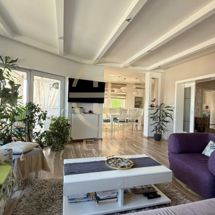Kuća Prodaja Novi Sad  273 m2