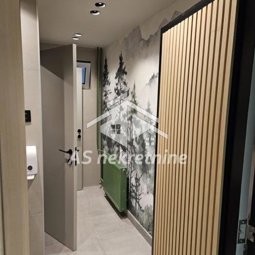 Lokal za izdavanje, Trg Republike, Beograd, 300m², 3.900 €/mes