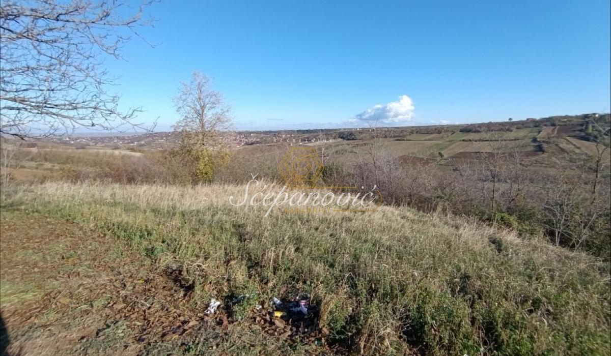 Plac Prodaja Novi Sad  21066 m2