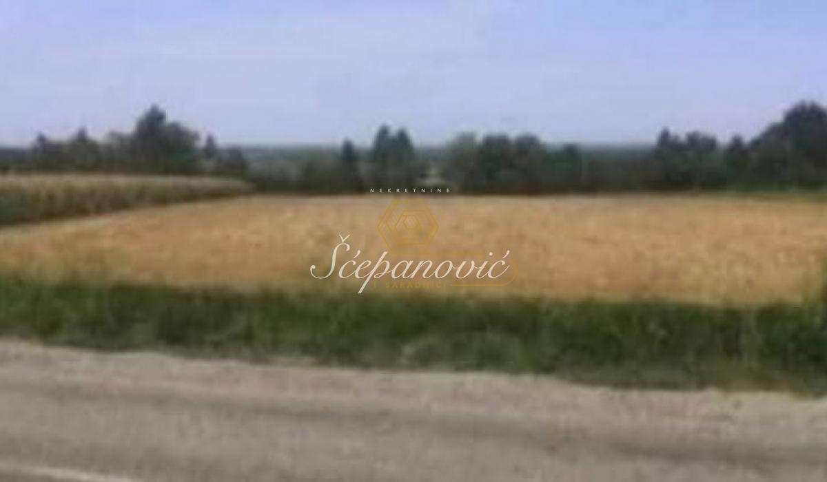 Plac Prodaja Beočin Plac Prodaja Beočin 0 m2