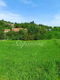 Plac Prodaja Beočin  1477 m2