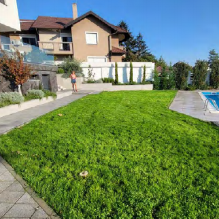 Kuća Prodaja Novi Sad  349 m2