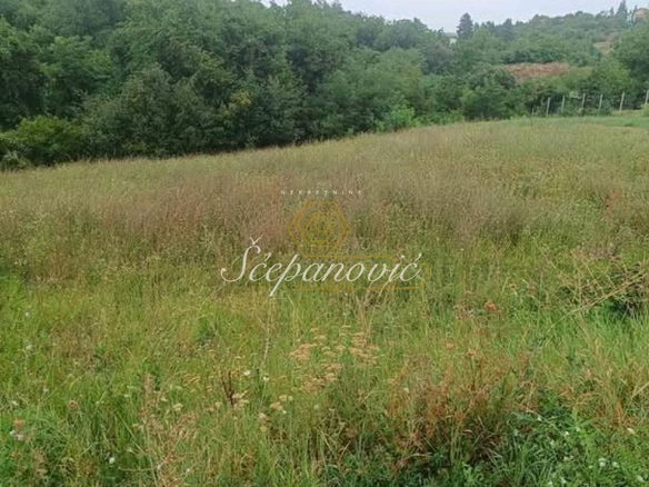 Plac Prodaja Irig  4050 m2