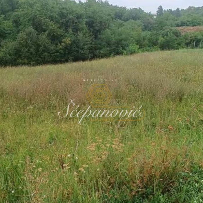 Plac Prodaja Irig  4050 m2