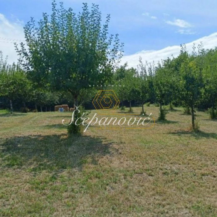 Kuća na prodaju, Čortanovci, Inđija, 30m², 184.000 €
