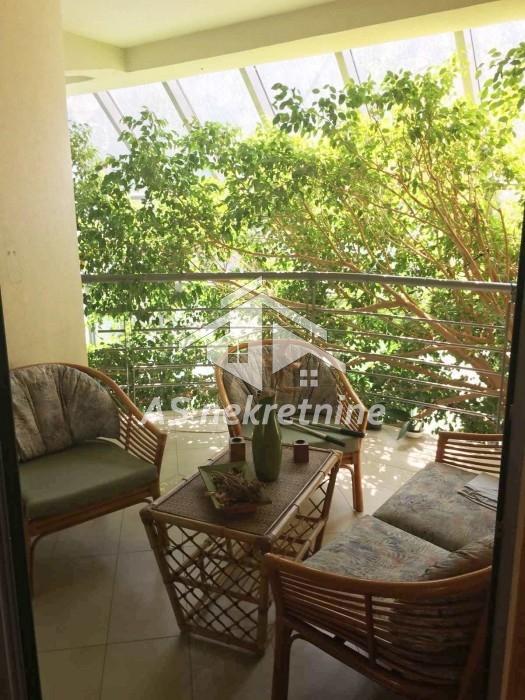 Kuća za izdavanje, FON, Beograd, 400m², 5.000 €/mes