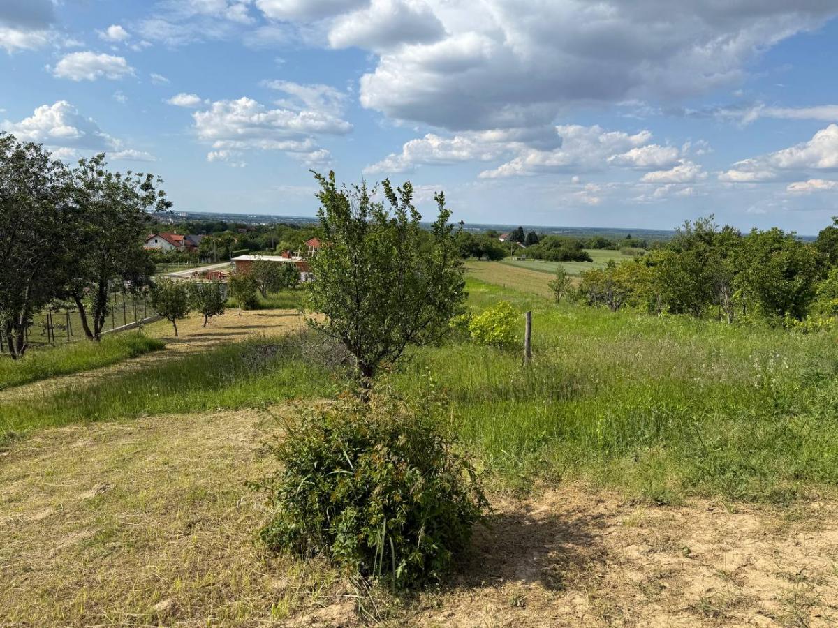 Plac Prodaja Novi Sad  954 m2