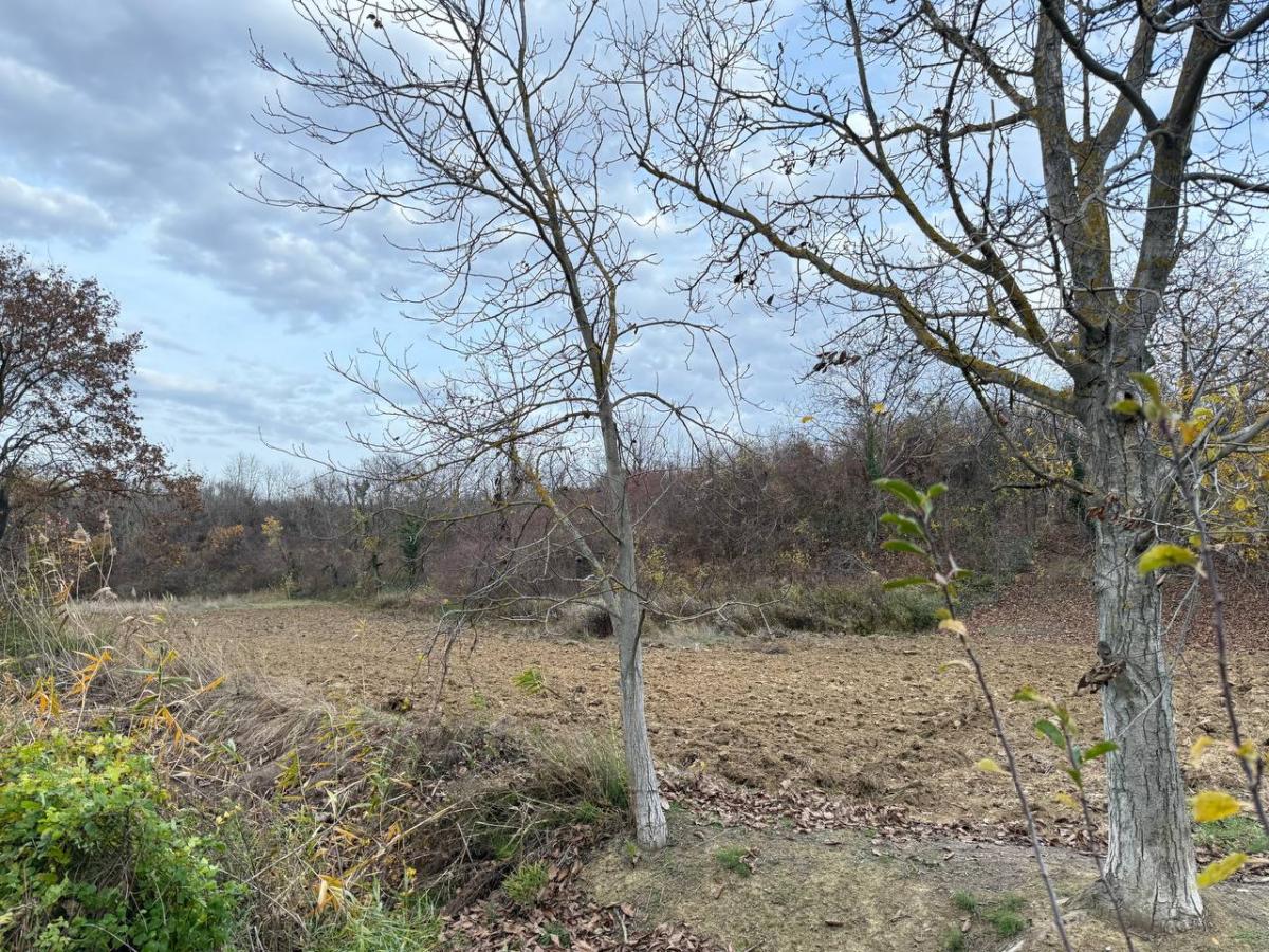 Plac na prodaju, Rakovac, Beočin, 24207m², 242.000 €