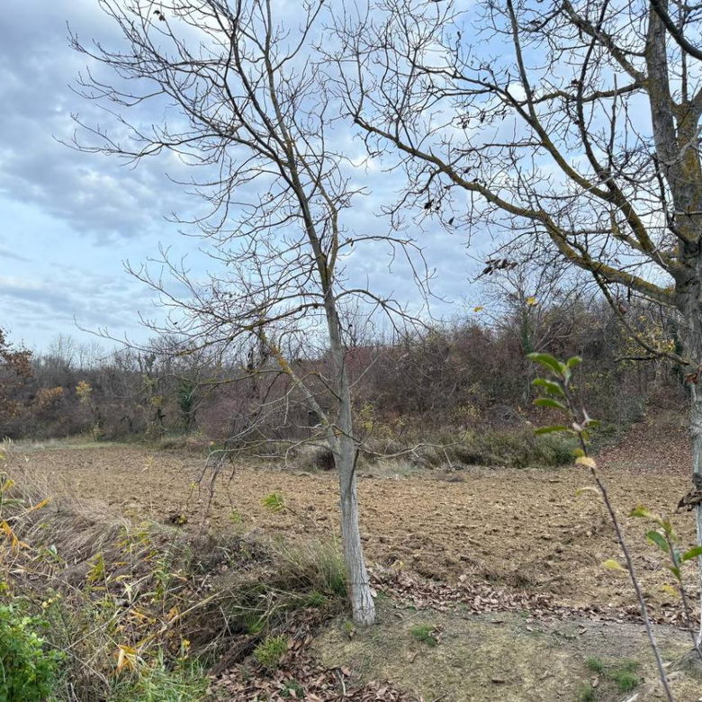 Plac na prodaju, Rakovac, Beočin, 24207m², 242.000 €
