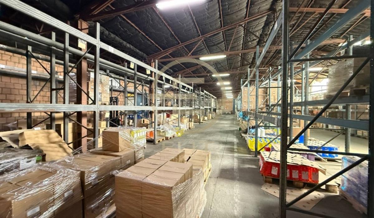 Lokal Izdavanje Novi Sad  7726 m2