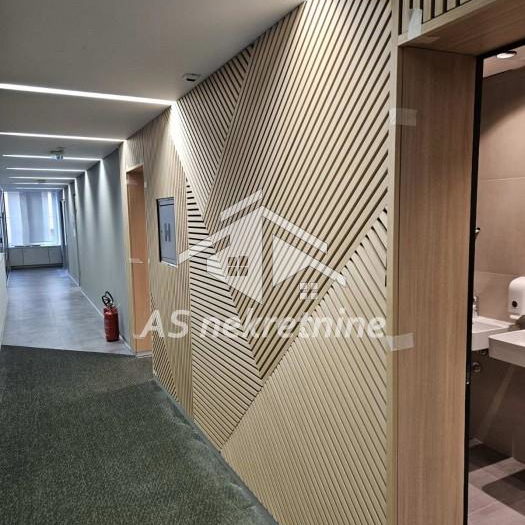 Lokal za izdavanje, Trg Republike, Beograd, 300m², 3.900 €/mes