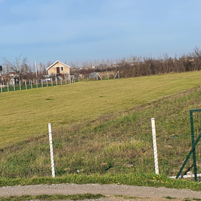 Plac Prodaja Novi Sad  7990 m2