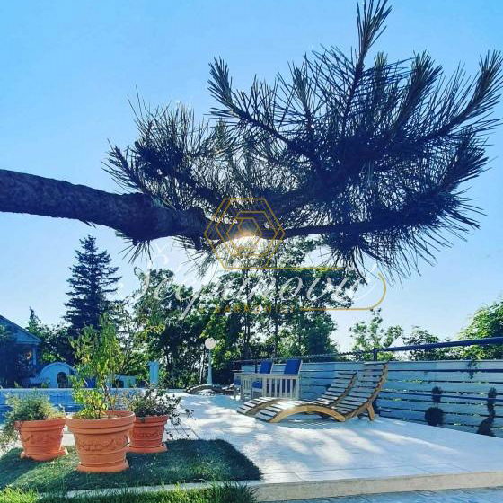 Kuća na prodaju, Rakovac, Beočin, 91m², 370.000 €