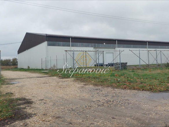 Lokal Izdavanje Novi Sad  2452 m2