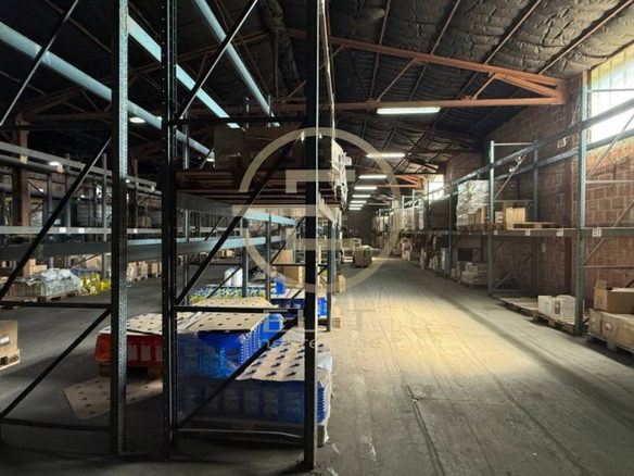 Lokal Izdavanje Novi Sad  7726 m2