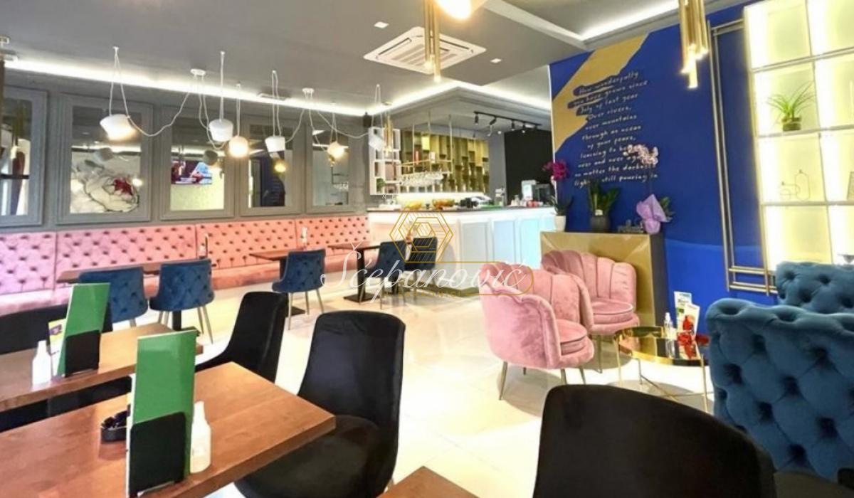 Lokal Prodaja Sremski Karlovci  205 m2