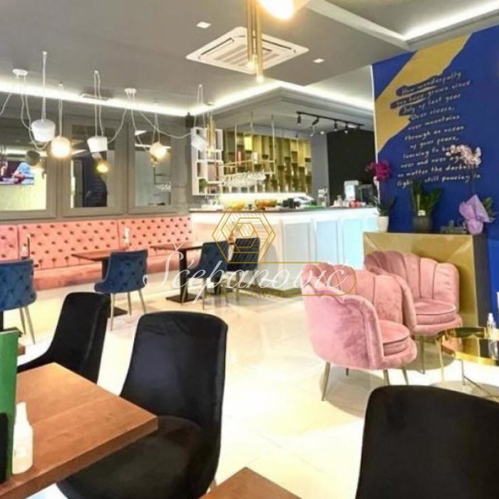 Lokal Prodaja Sremski Karlovci  205 m2