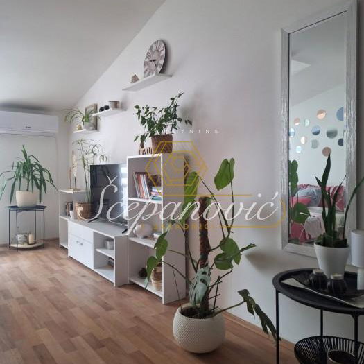 Stan Prodaja Novi Sad  48 m2