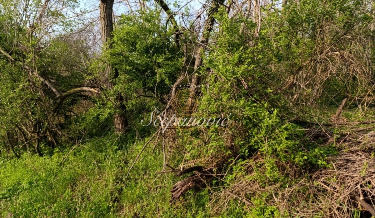 Plac Prodaja Novi Sad Plac Prodaja Novi Sad 1390 m2