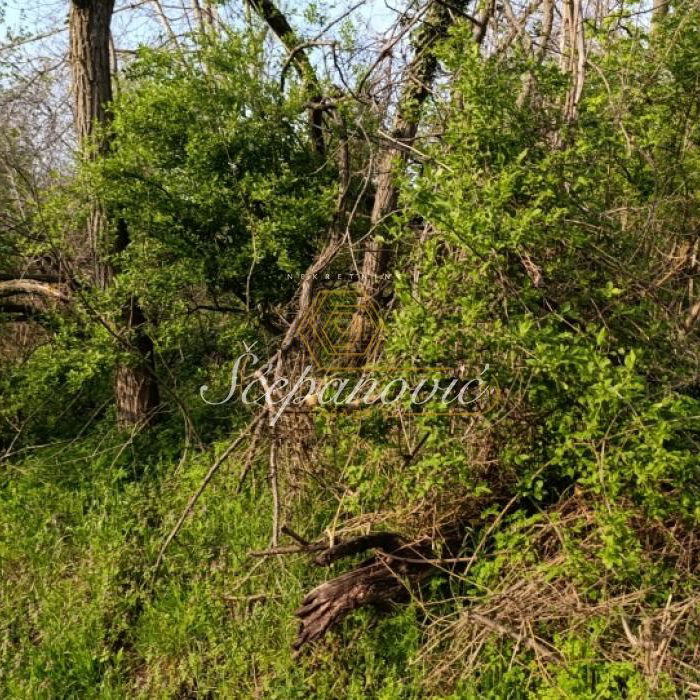 Plac Prodaja Novi Sad  1390 m2
