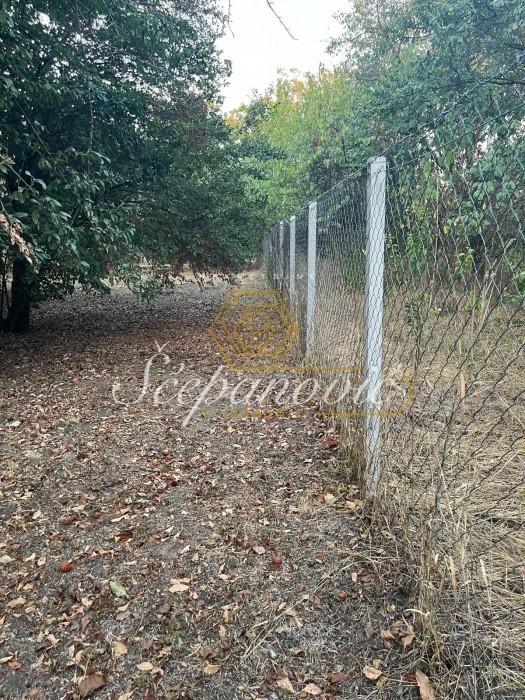 kuca-prodaja-beograd-dwxE01RIKr Plac Prodaja Bečej 1877 m2