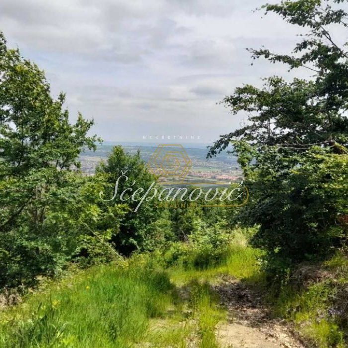 Plac Prodaja Aranđelovac  53082 m2