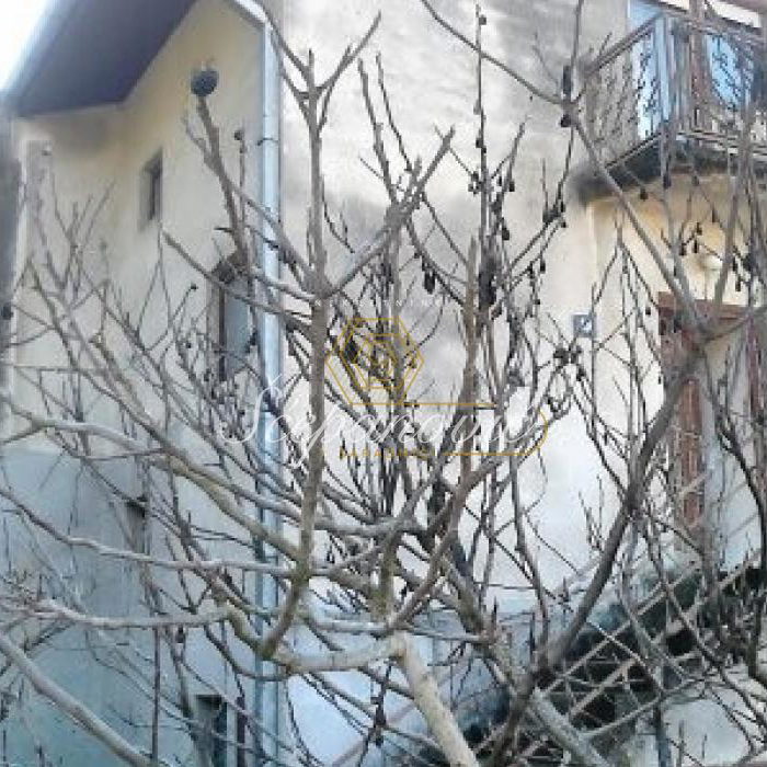 Kuća Prodaja Novi Sad Čardak 57 m2